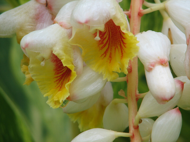 975CF5FB80CB2CA34FE878181A1_1F4B633E_15FE5.jpg?e= 975CF5FB80CB2CA34FE878181A1_1F4B633E_15FE5.jpg?e=