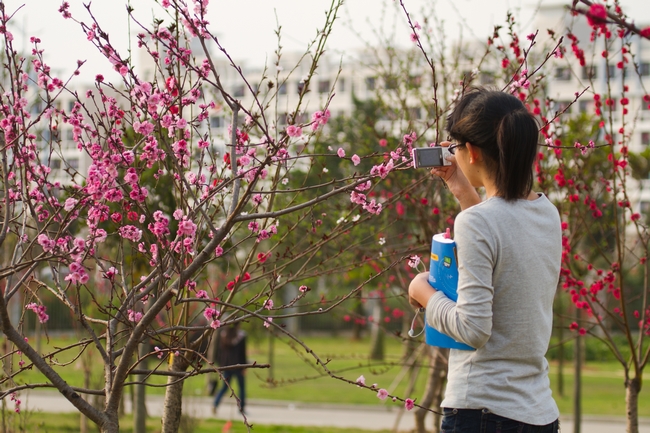 605DBC881D83610E340D5190873_2B3A62B9_54E21.jpg?e= 605DBC881D83610E340D5190873_2B3A62B9_54E21.jpg?e=