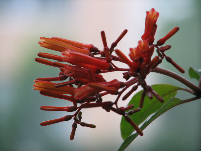 33DAD725757AA89386A21116159_DDD37961_15E5D.jpg?e= 33DAD725757AA89386A21116159_DDD37961_15E5D.jpg?e=