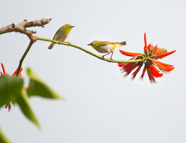 9AA035CFBB3C60FD42DCB1ADD0D_82CC890B_23A21.jpg?e= 9AA035CFBB3C60FD42DCB1ADD0D_82CC890B_23A21.jpg?e=