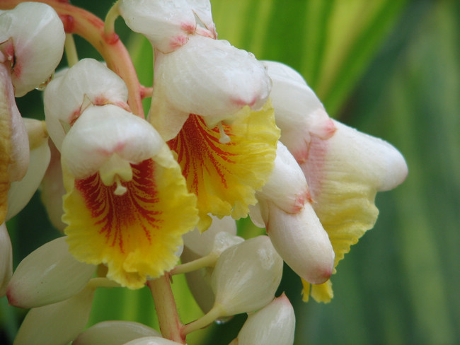 D9CD9E4CE9E8EFC8E8434804B58_1B89DEE2_15593.jpg?e= D9CD9E4CE9E8EFC8E8434804B58_1B89DEE2_15593.jpg?e=