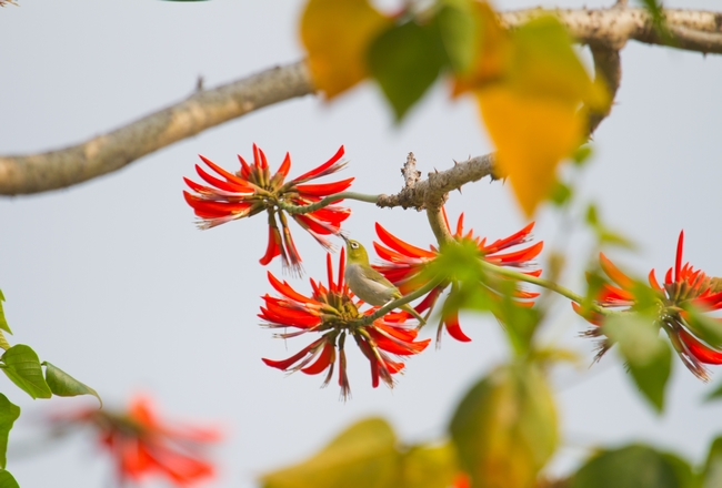 9500F91197BD5C2196517952005_44AEC232_2F8E5.jpg?e= 9500F91197BD5C2196517952005_44AEC232_2F8E5.jpg?e=