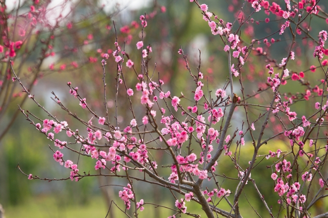 7B44466E969BAF7638625C87776_85BE64E1_4E702.jpg?e= 7B44466E969BAF7638625C87776_85BE64E1_4E702.jpg?e=