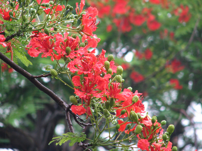 ED014842DC6B58833FE87D261B3_C33E2812_264E5.jpg?e= ED014842DC6B58833FE87D261B3_C33E2812_264E5.jpg?e=