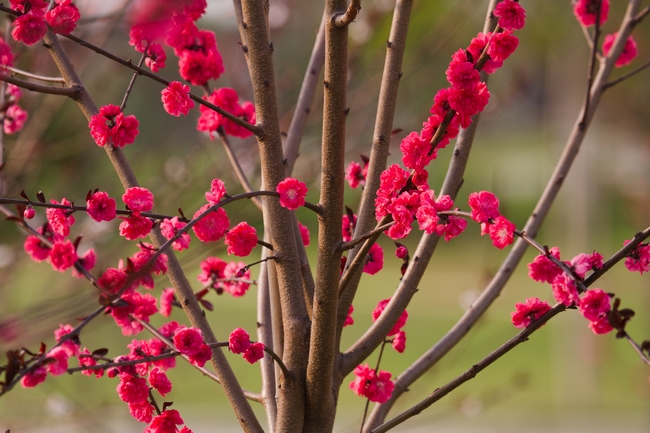 CF40C2E3EF64FB42138F4399D8B_DA8D78B5_4462B.jpg?e= CF40C2E3EF64FB42138F4399D8B_DA8D78B5_4462B.jpg?e=